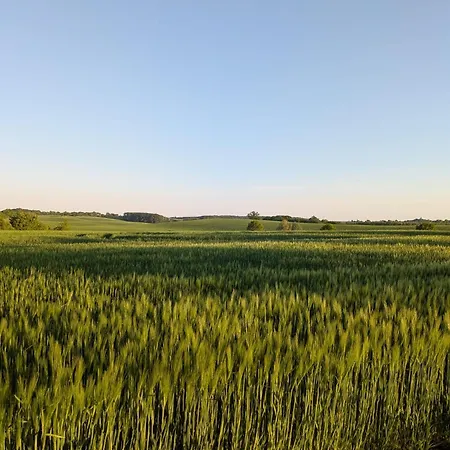 Geraeumige Im Sternhaus Waren Mueritz * Jägerhof