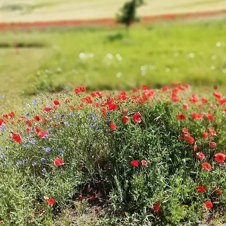 Geraeumige Jägerhof